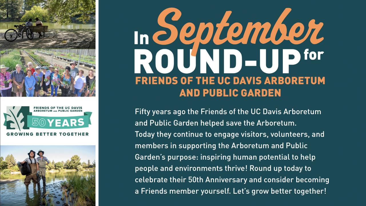Fifty years ago the friends of the UC Davis Arboretum and Public Garden helped save the Arboretum. Today they continue to engage visitors, volunteers, and members in supporting the Arboretum and Public Garden’s purpose: inspiring human potential to help people and environments thrive! Round up today to celebrate their 50th Anniversary and consider becoming a Friends member yourself. Let’s grow better together!