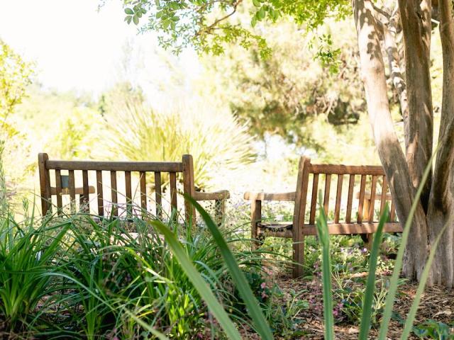 bench in the arboretum