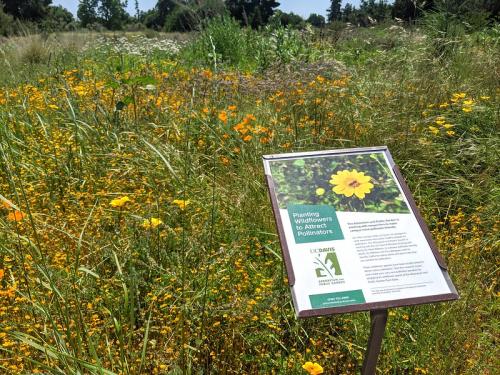 Image of an interpretive sign in one of the habitat gardens in the UC Davis Arboretum and Public Garden.
