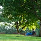 arboretum garden