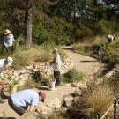 Volunteers working in Mary Wattis Brown Garden. 