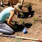 Woman planting a plant into the soil. 