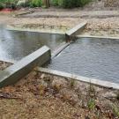 A weir in the Arboretum Waterway