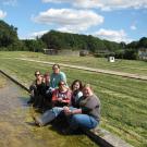 Taylor lab members in watercress field in Dorset, UK