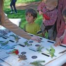 UC Davis Biodiversity Museum Day