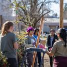 A group of interns stand in a semi-circle prepping for a planting event