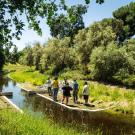 UC Davis Arboretum and Public Garden Learning by Leading interns stand on the newly planted banks of the Arboretum Waterway