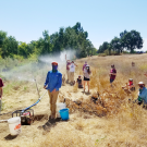 Eleven people stand in dead grass wearing masks and removing plant debris.