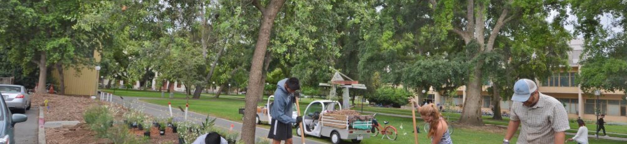 2017-18 Sustainable Horticulture Intern Recruitment
