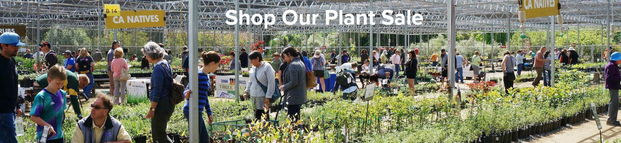 Shop our plant sales