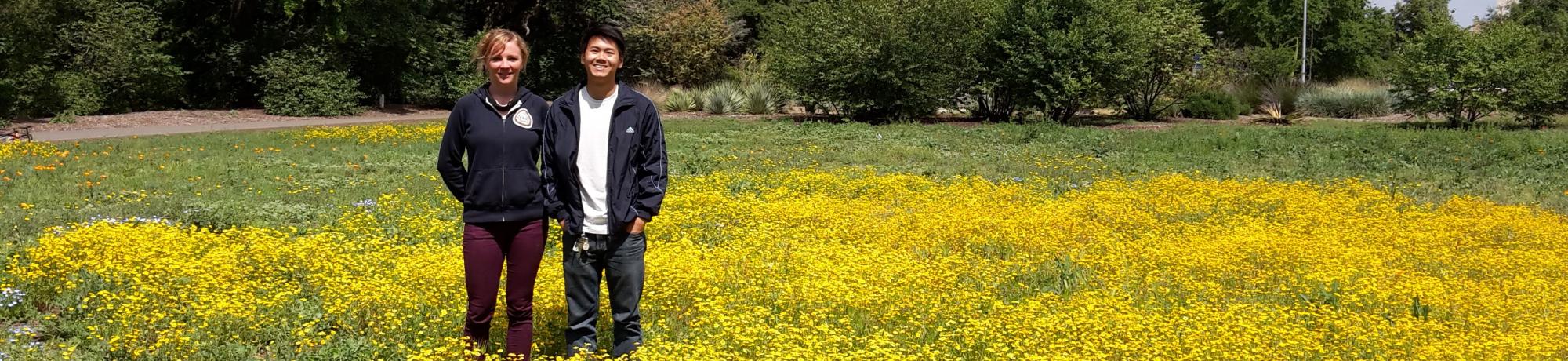 Image of Learning by Leading Sustainable Horticulture interns in a student-planted wildflower meadow.
