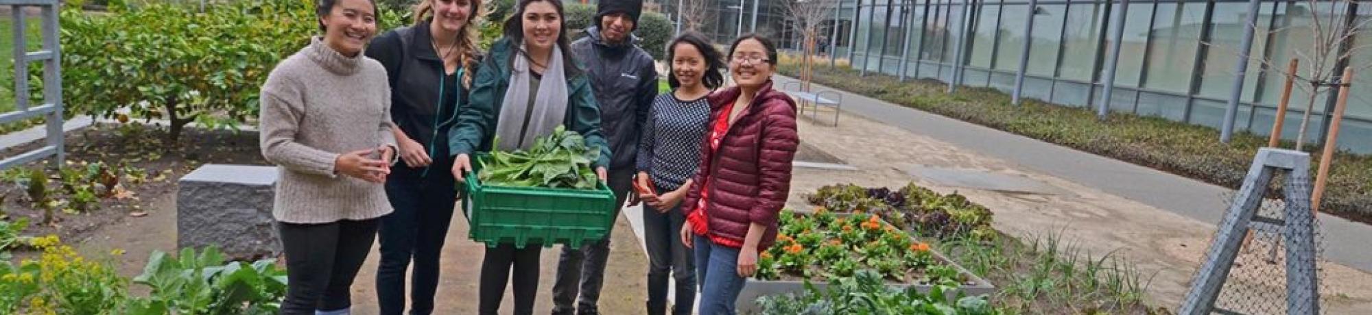 Students harvest Good Life Garden for donation to The Pantry