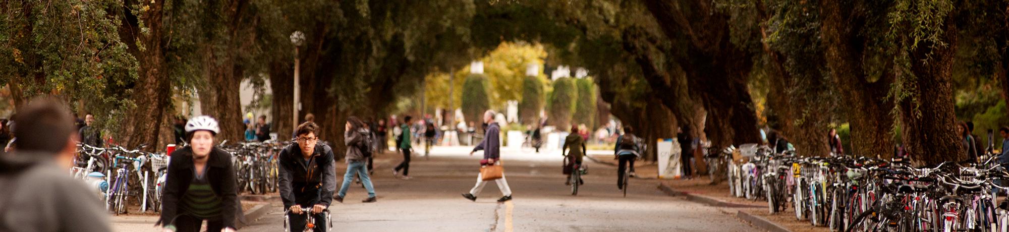 Campus