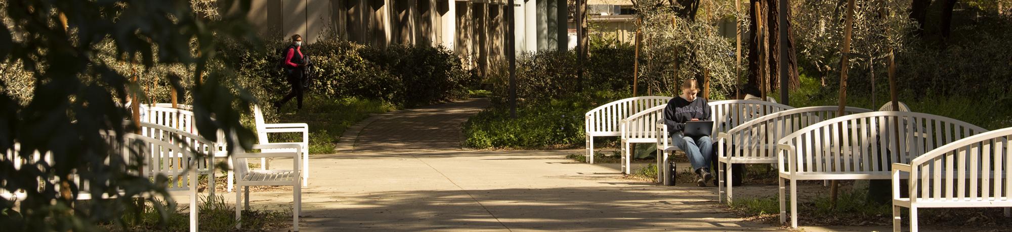 Benches on campus