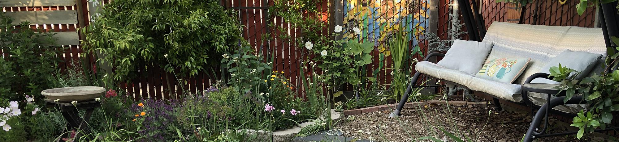 Debbie Tucker's garden 